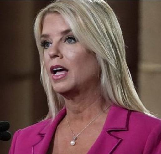 Pam Bondi- Clown Cabinet